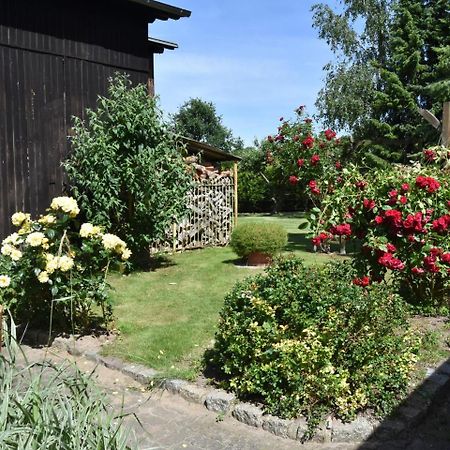 Comfortable Apartment In A Quiet Location Zweedorf Exteriör bild